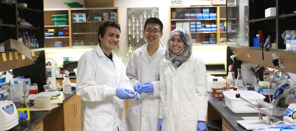 The Shapiro lab