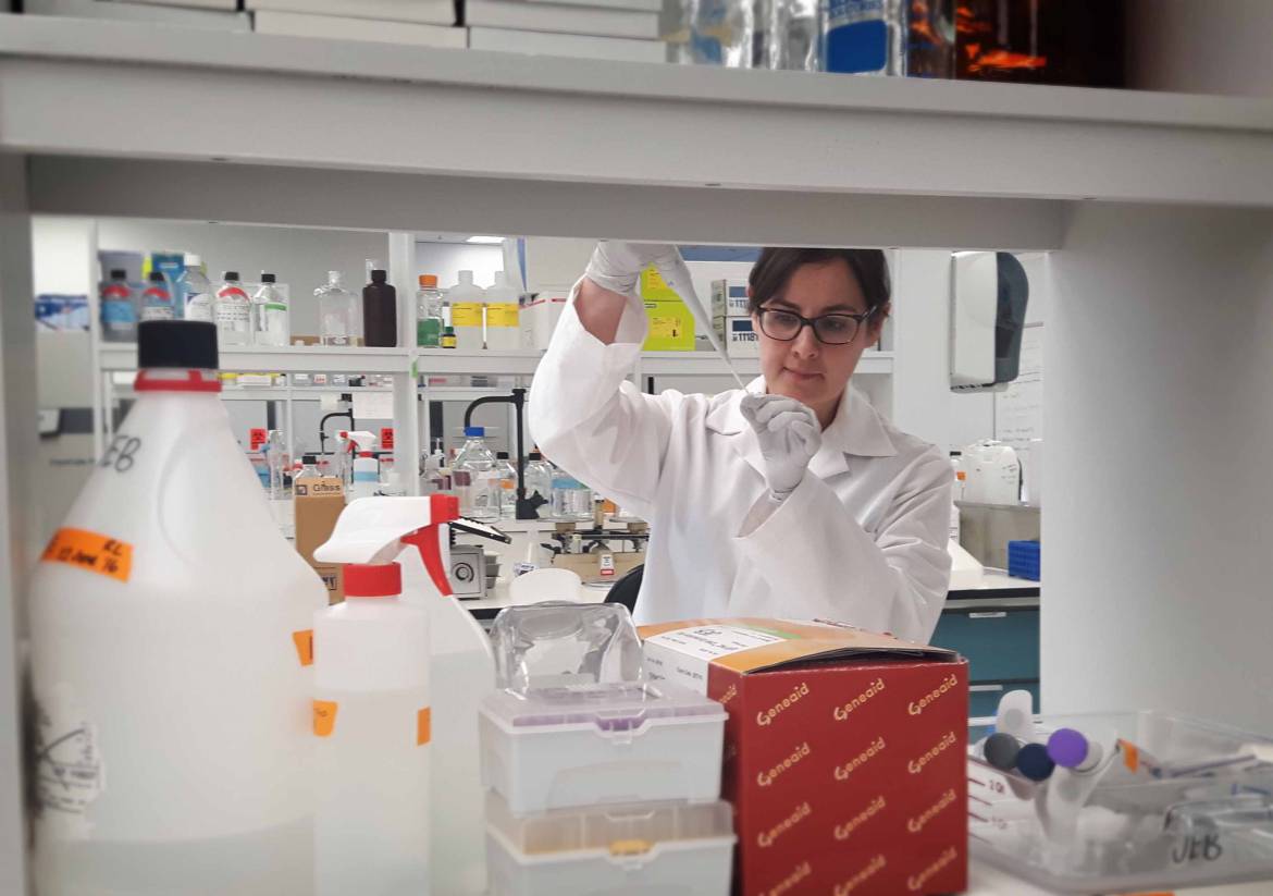 foundation laboratory